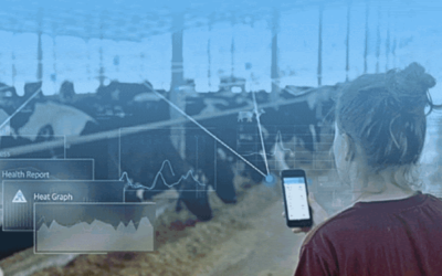 El monitoreo animal, herramienta clave para incrementar la rentabilidad en la ganadería.